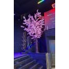 درخت شکوفه برای بزرگترین باشگاه گیمینگ ایران